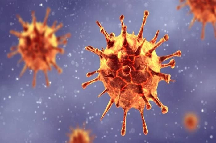 کورونا وائرس :ملک میں کیسز اوراموات کی شرح میں کمی کا رجحان